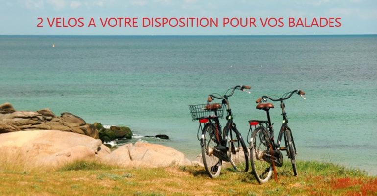 Chalet Coquillages & Crustaces Avec Piscine Chauffee & *